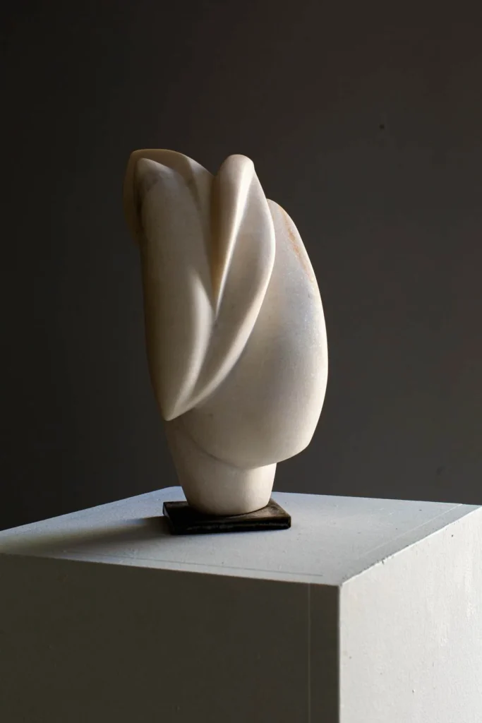 Figure I., by Juan Carlos Rayas
